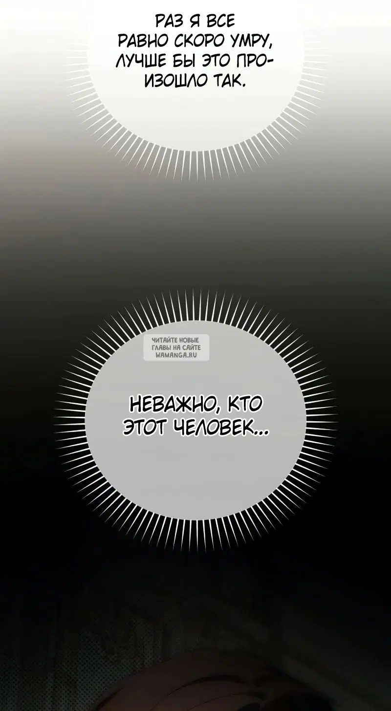 Page 50.000