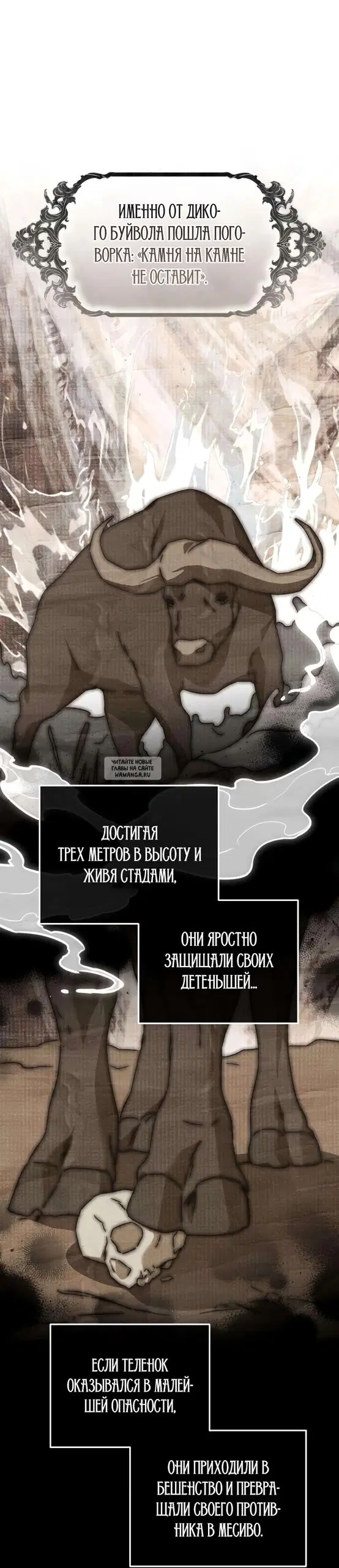 Page 53.000