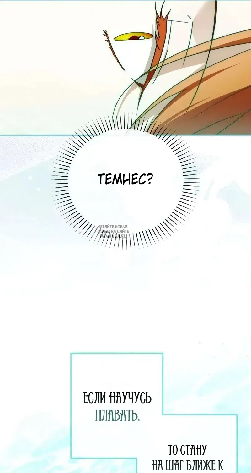 Page 61.000