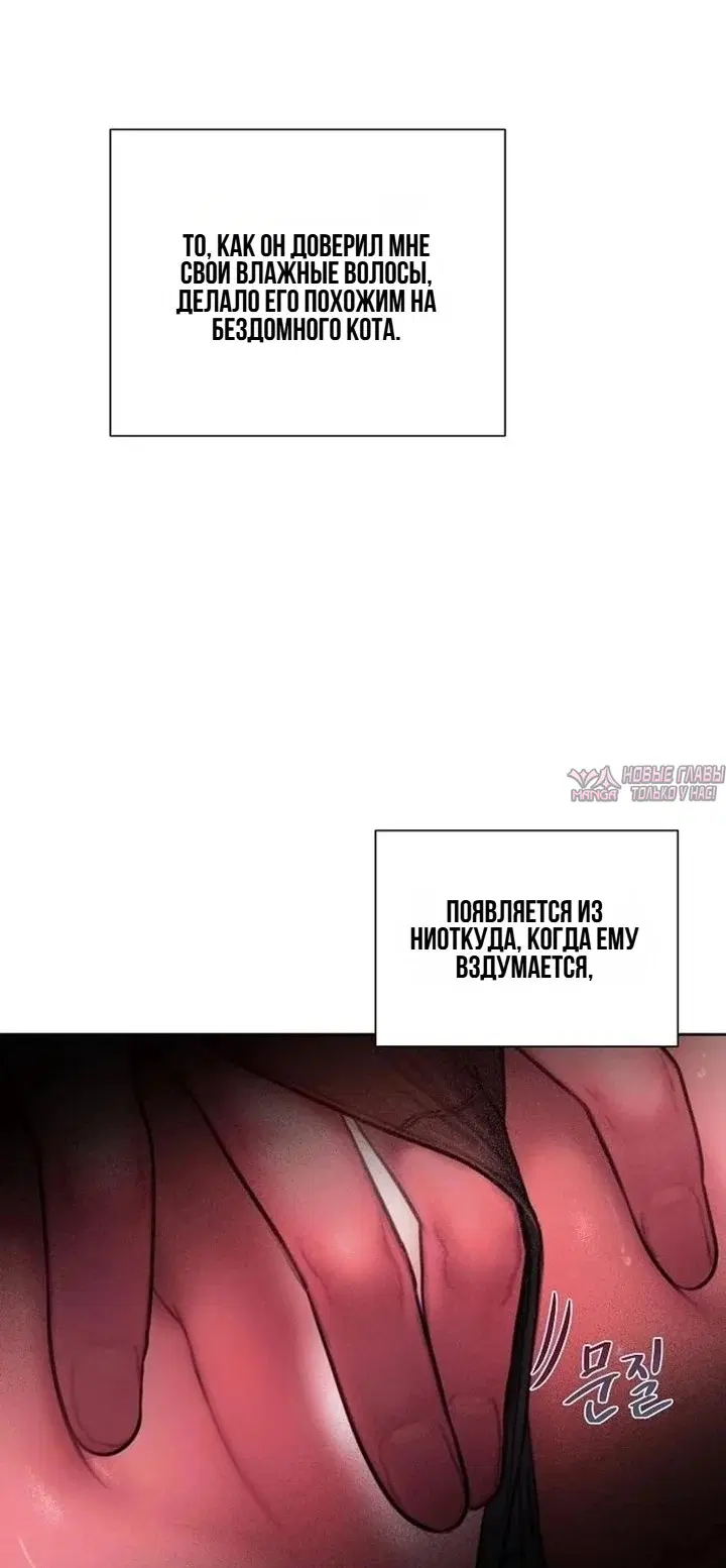 Page 54.000