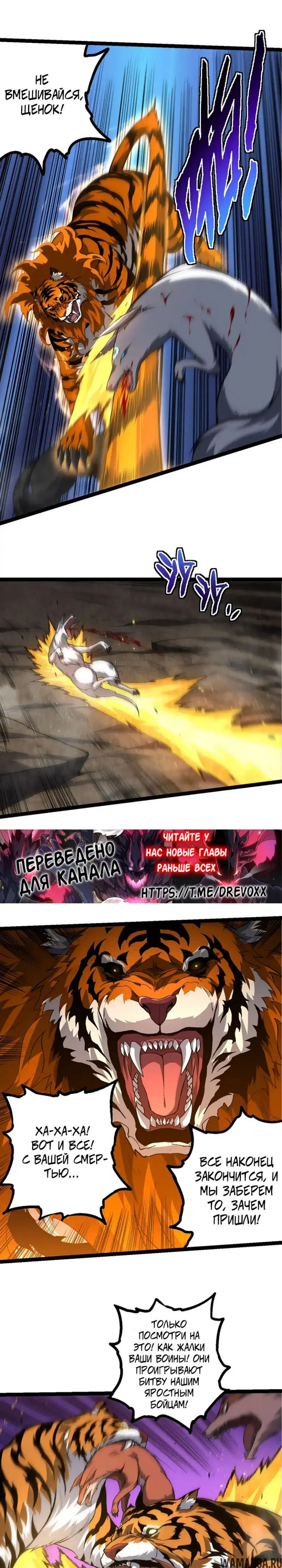 Page 8.000