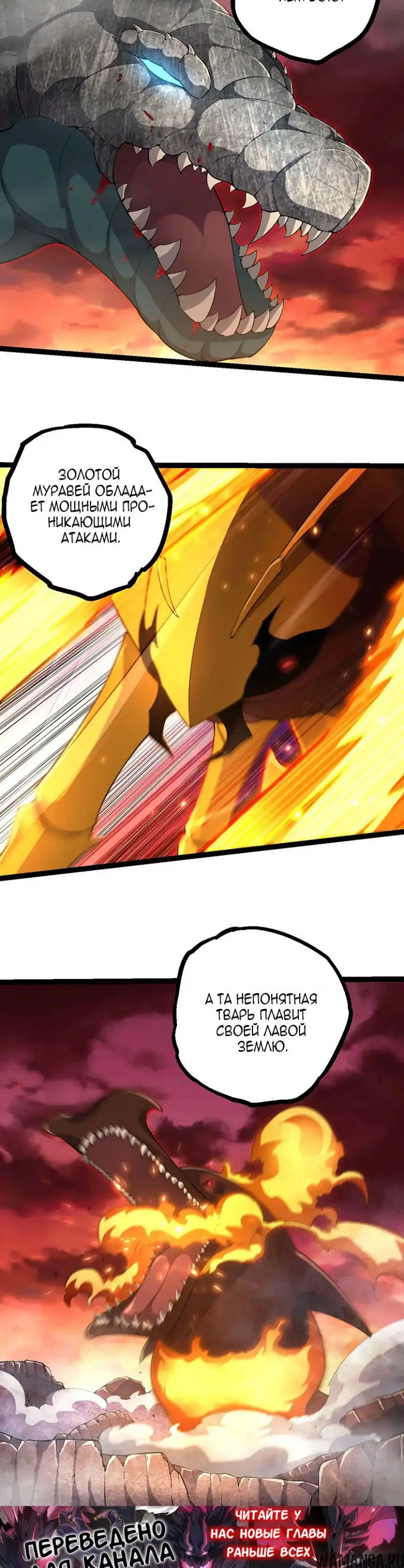 Page 16.000
