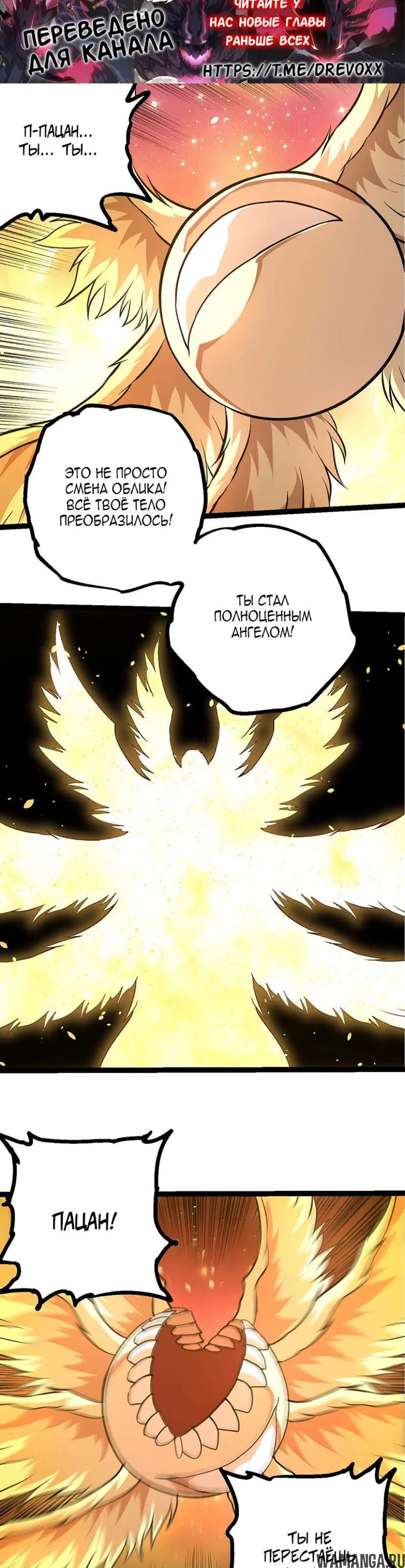 Page 17.000