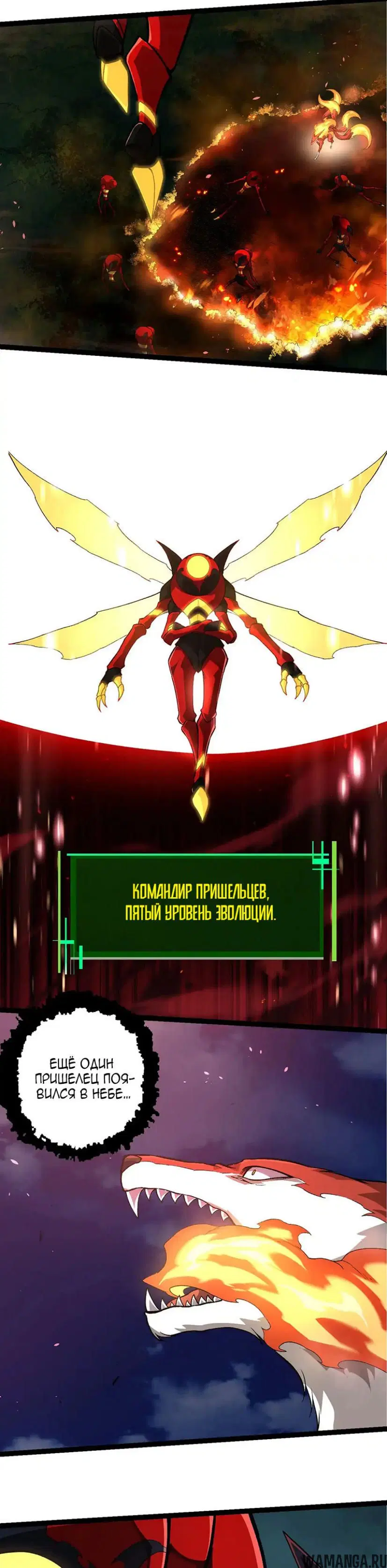 Page 19.000