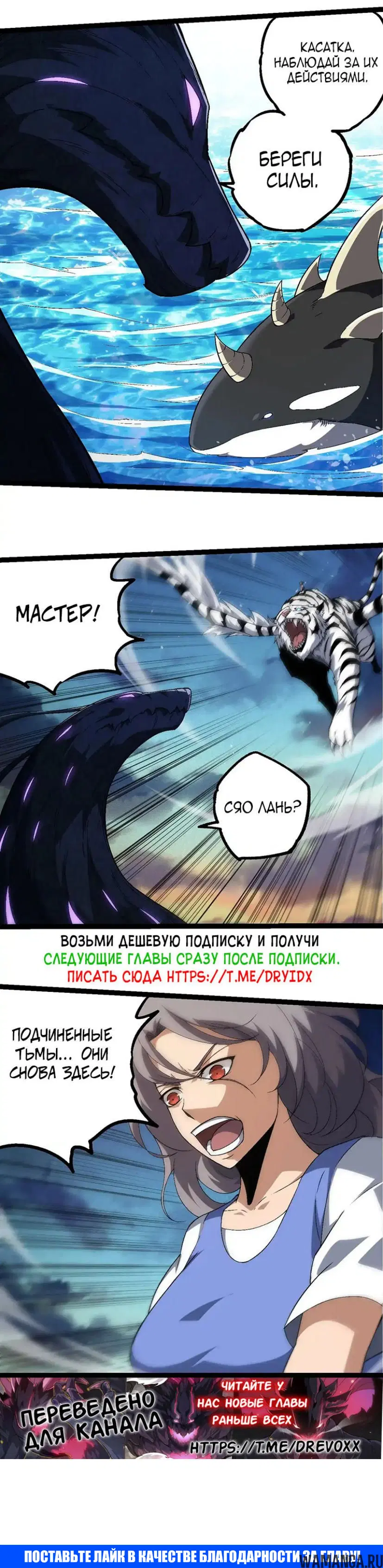 Page 20.000