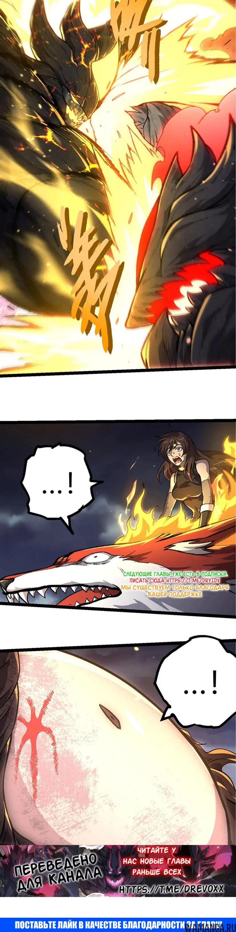 Page 20.000