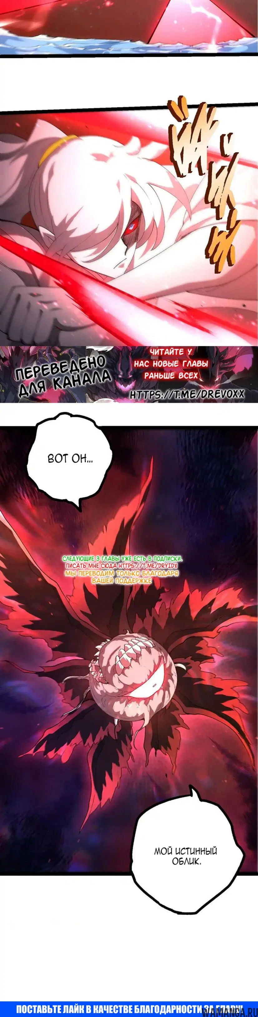 Page 20.000