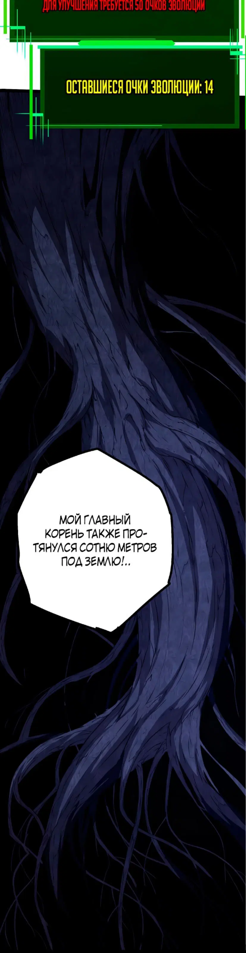Page 26.000