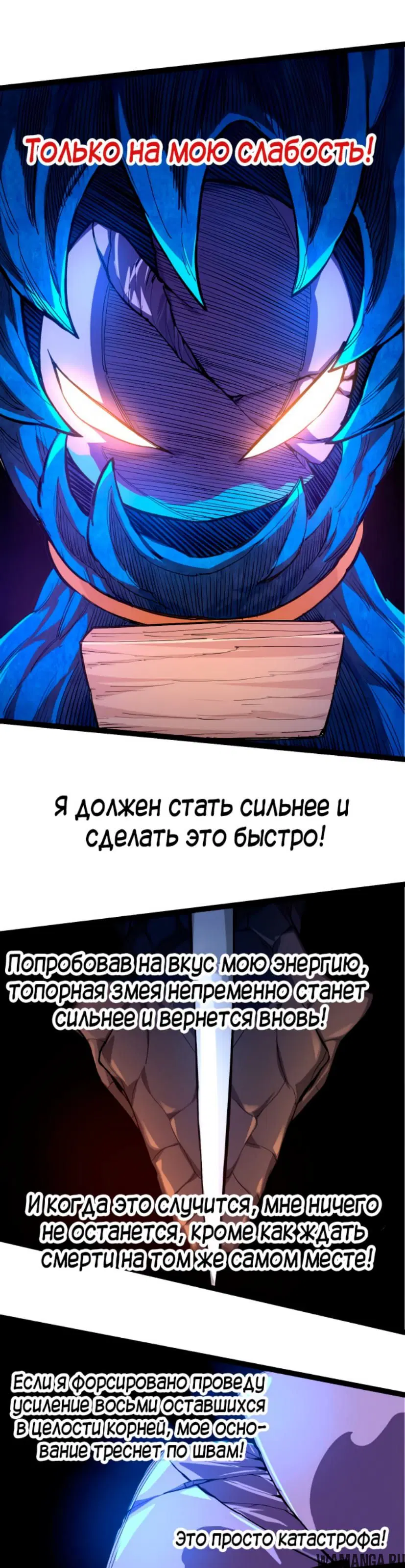 Page 31.000