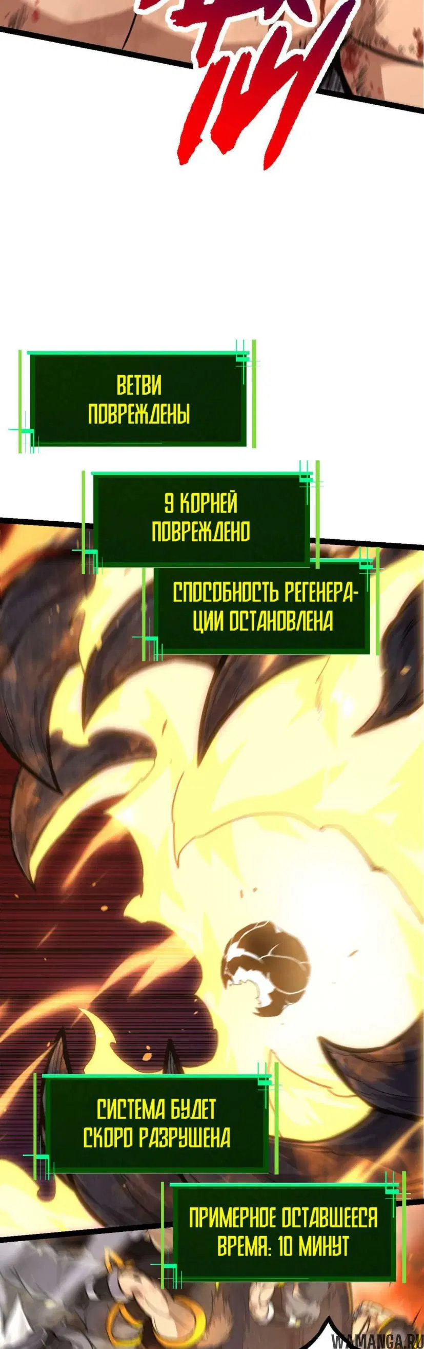 Page 31.000