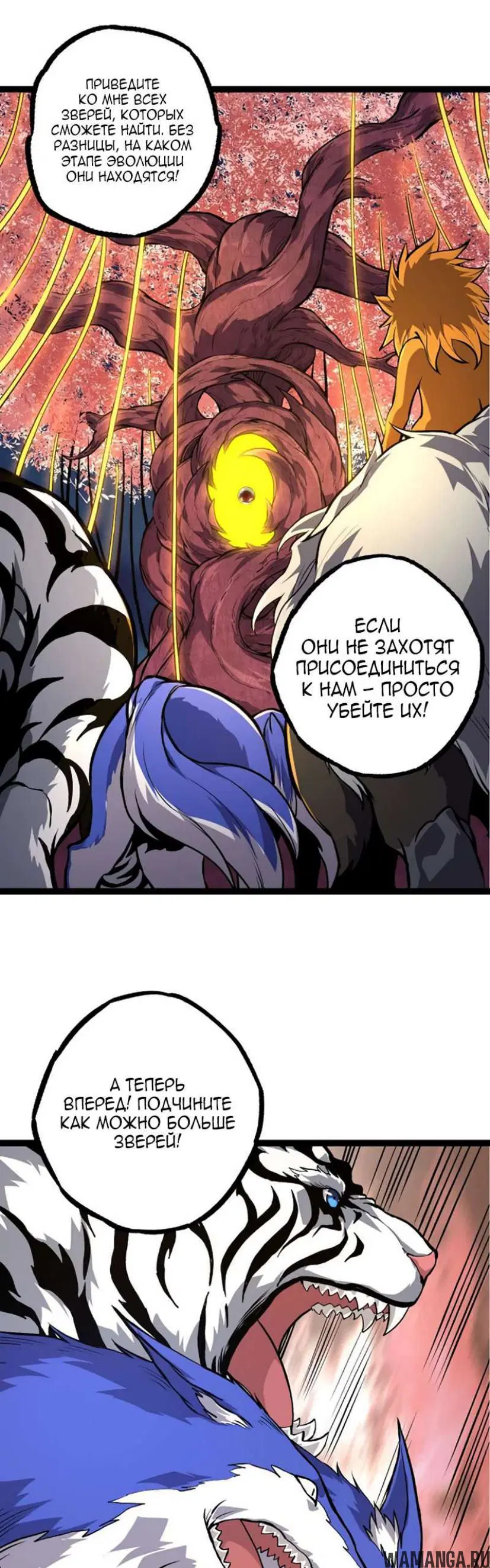 Page 31.000