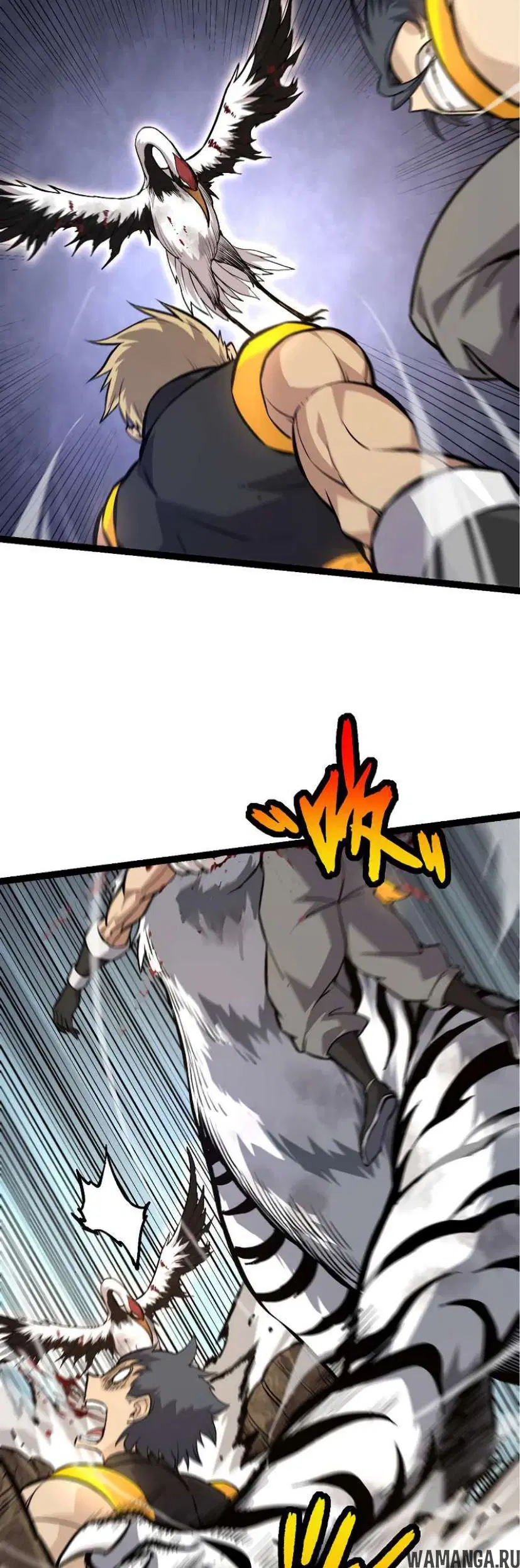 Page 31.000
