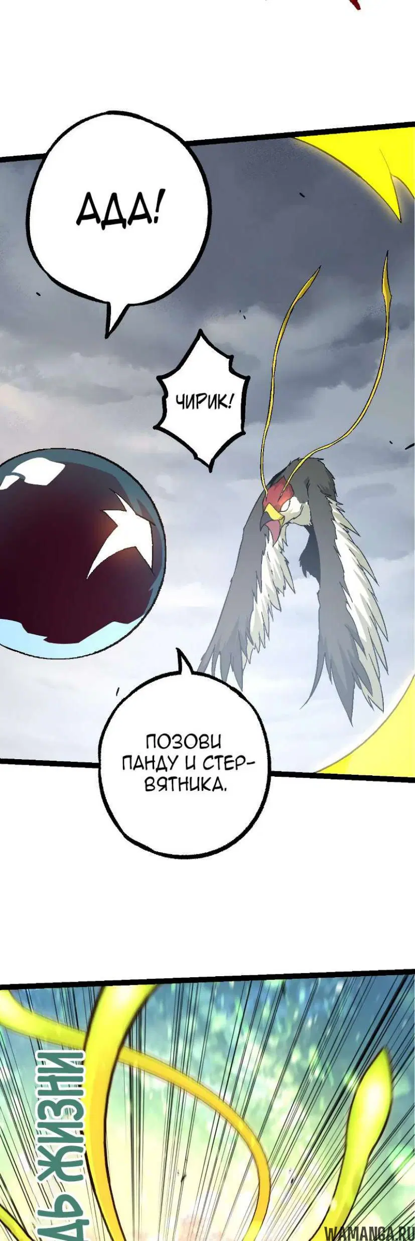 Page 31.000