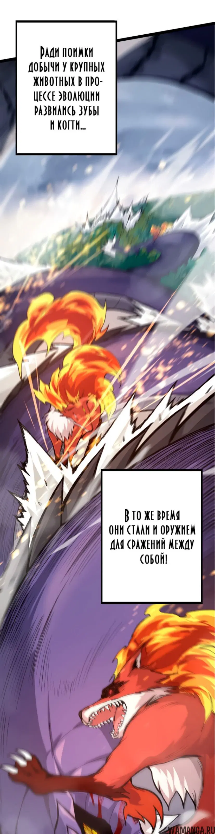 Page 33.000