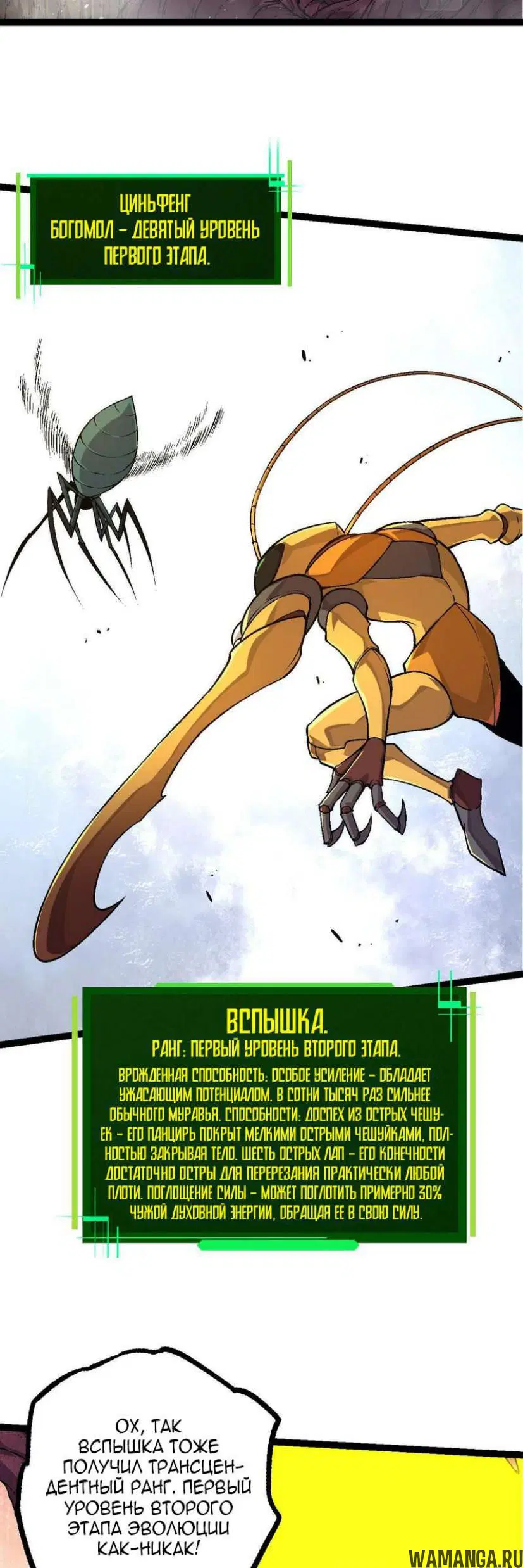Page 33.000
