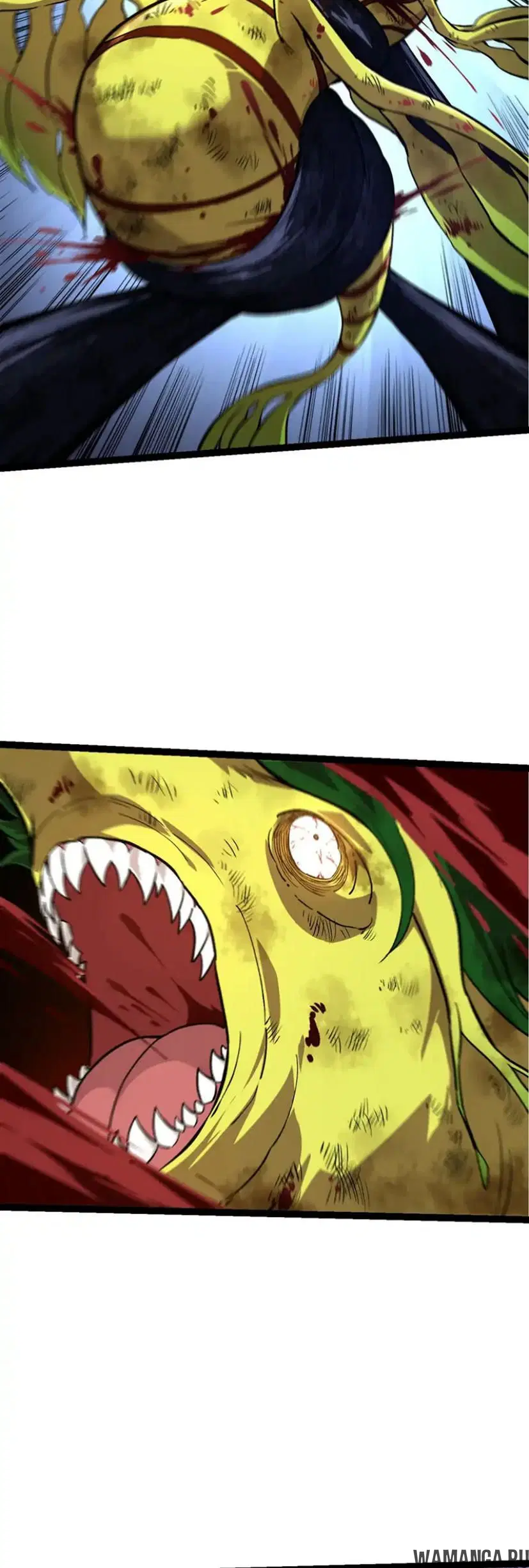 Page 33.000