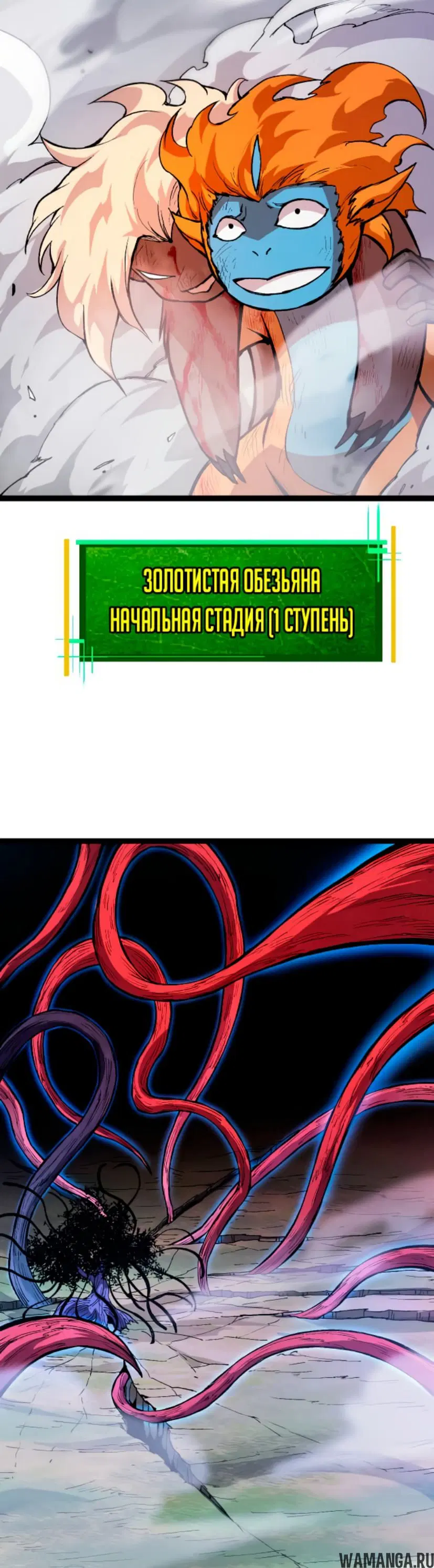 Page 36.000