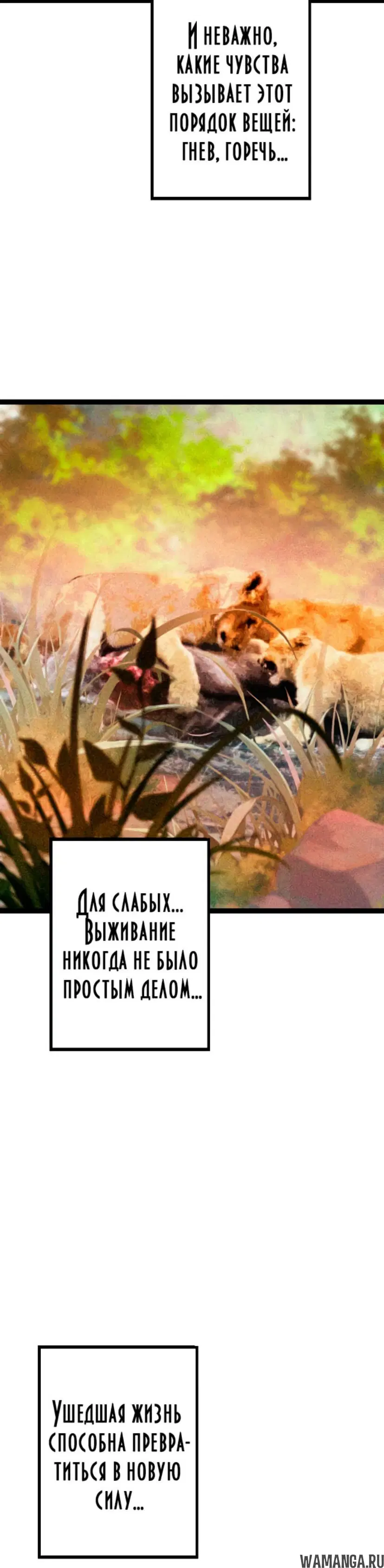 Page 49.000