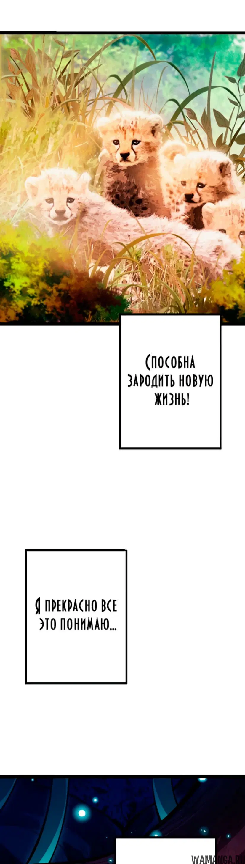 Page 50.000
