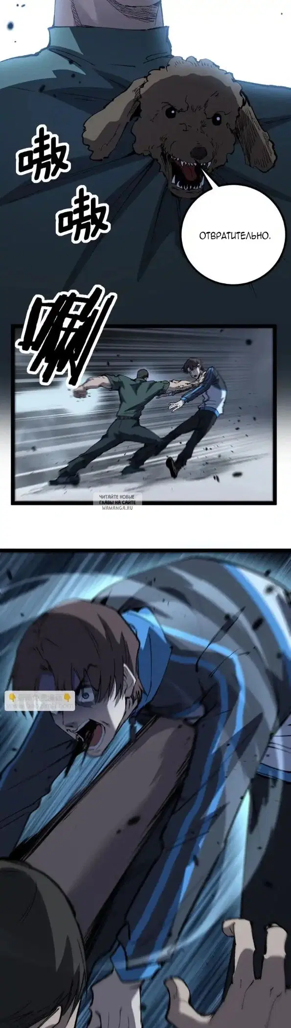 Page 13.000