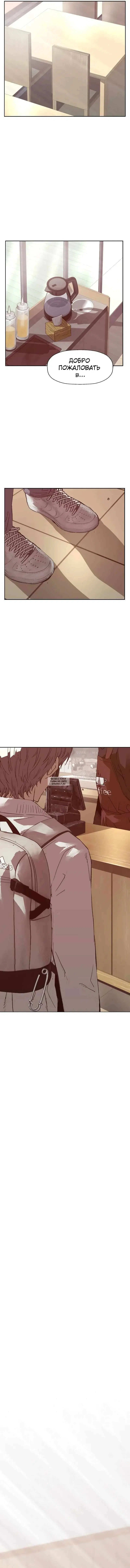 Page 31.000