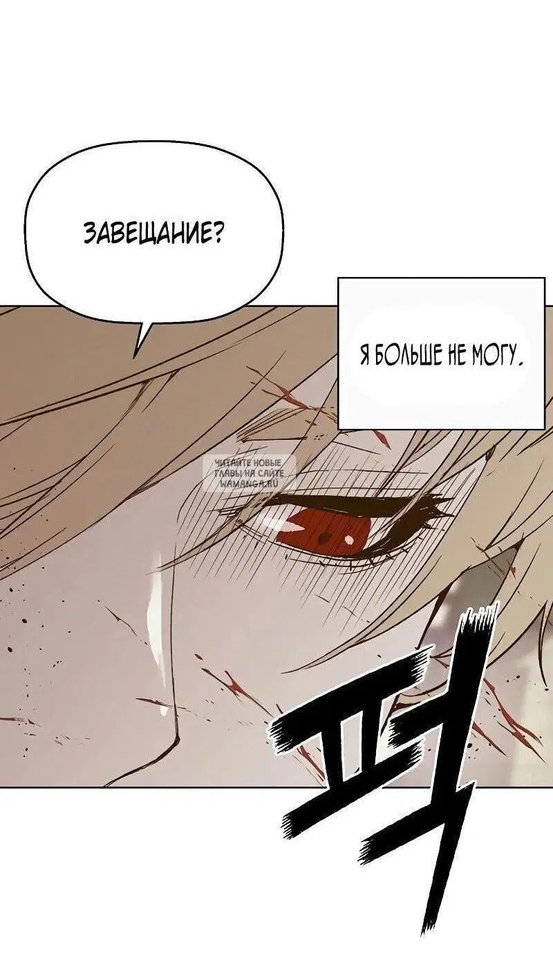 Page 41.000