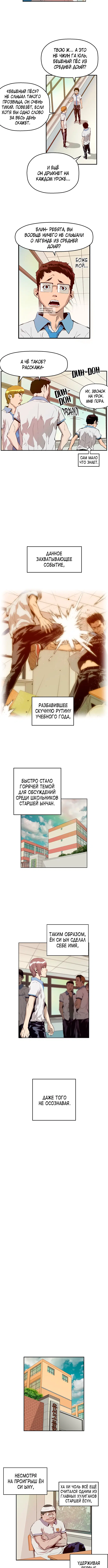 Page 5.001
