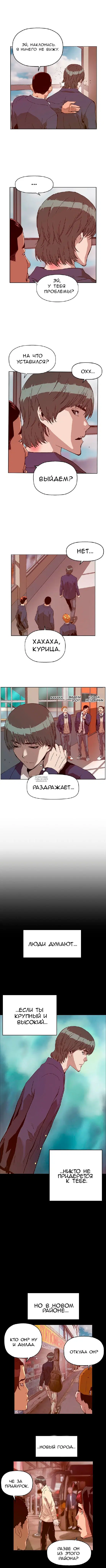 Page 5.000