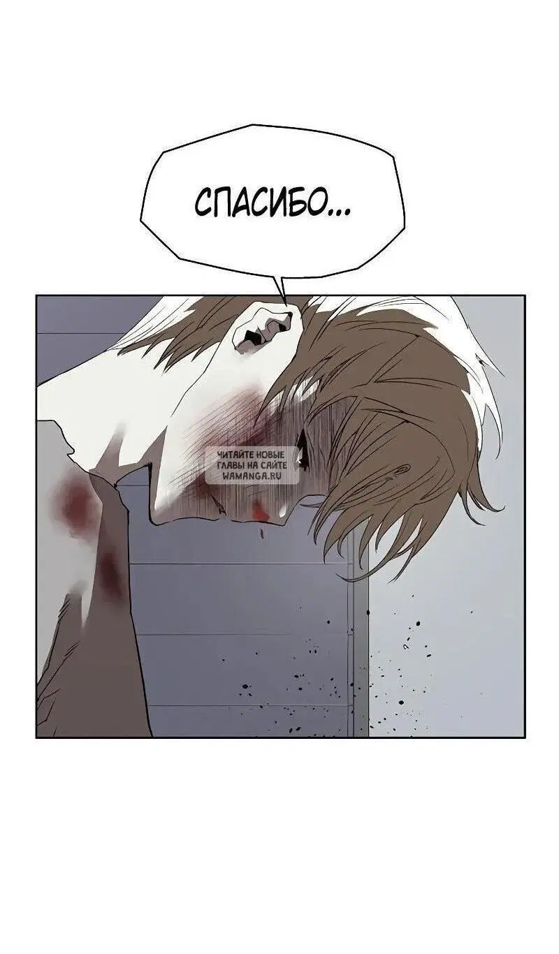 Page 81.000