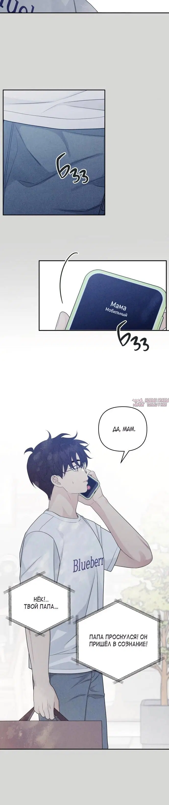 Page 4.001
