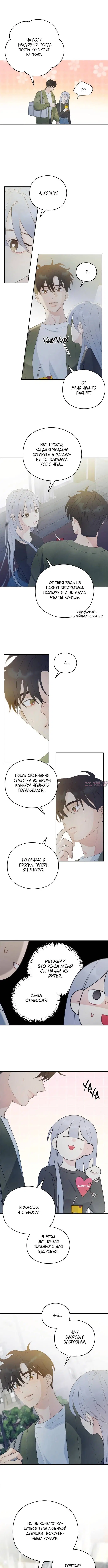 Page 3.000