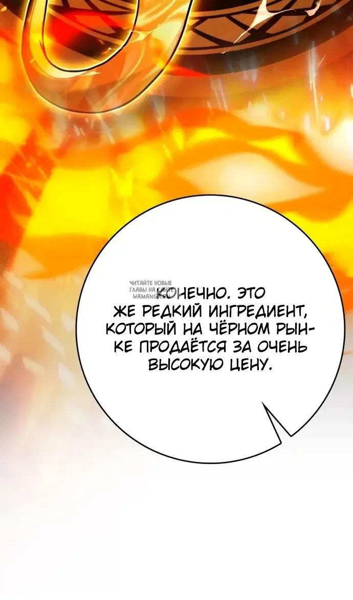 Page 31.000