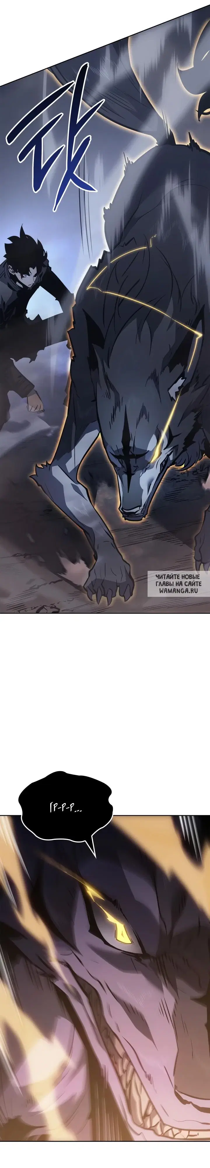 Page 41.000