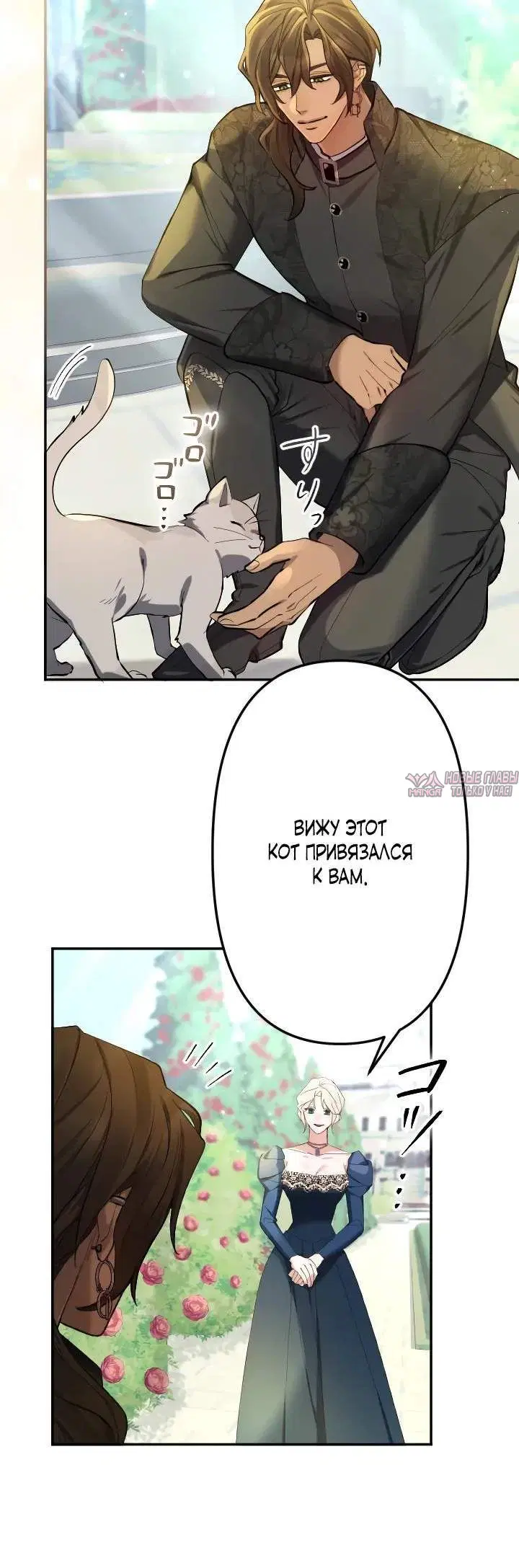 Page 6.001