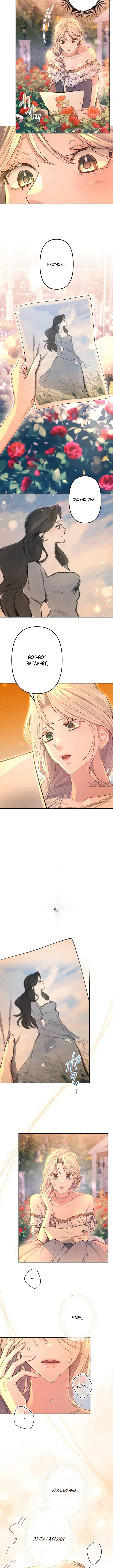 Page 7.001