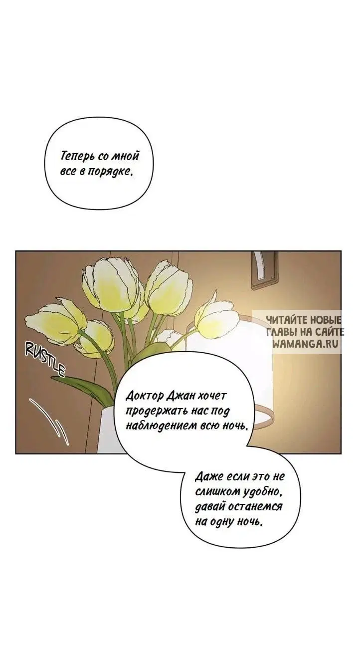 Page 39.000