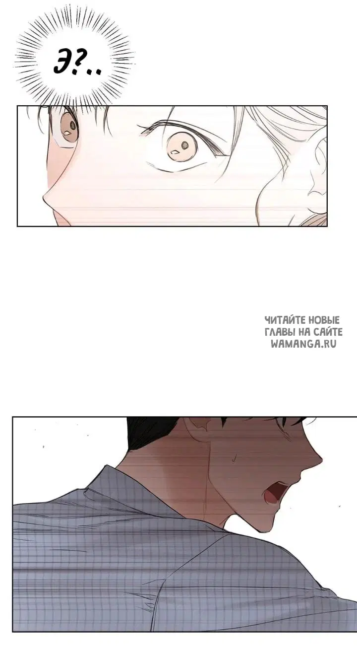 Page 46.000