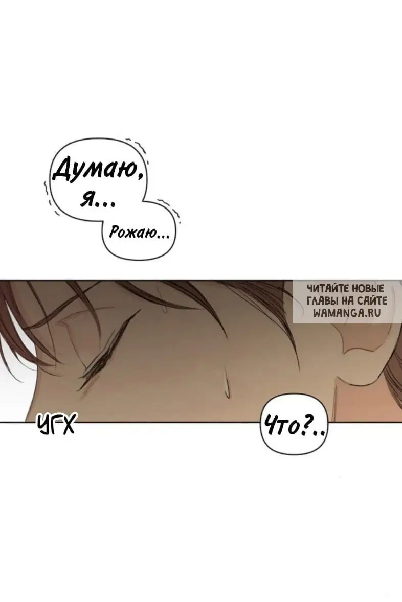 Page 42.000