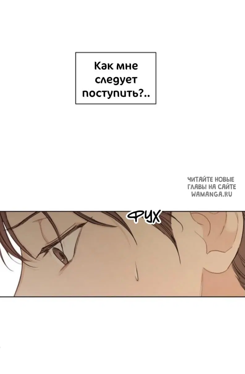 Page 43.000