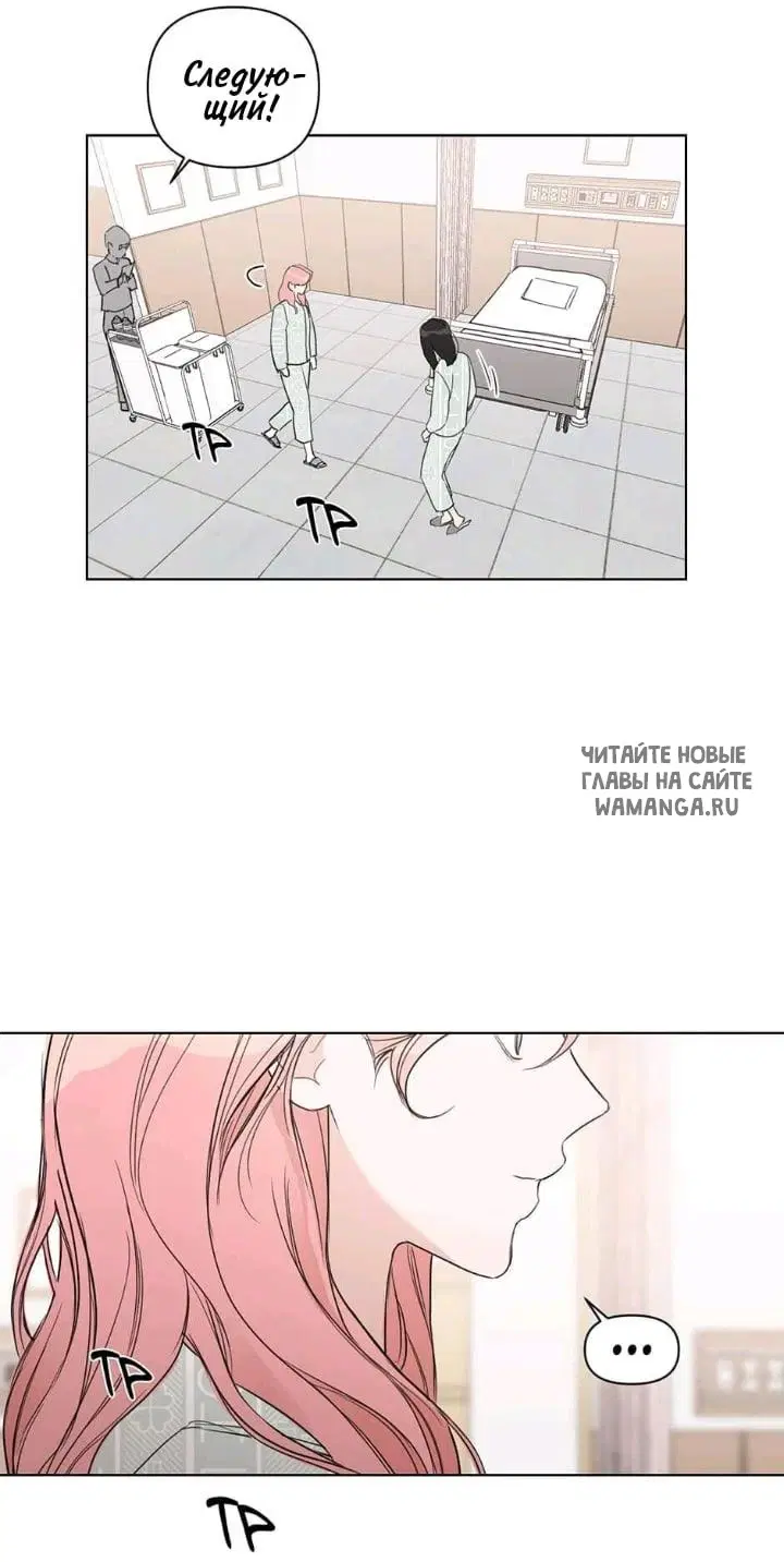 Page 55.000