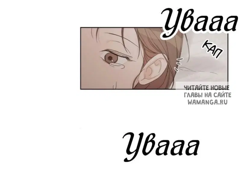 Page 55.000