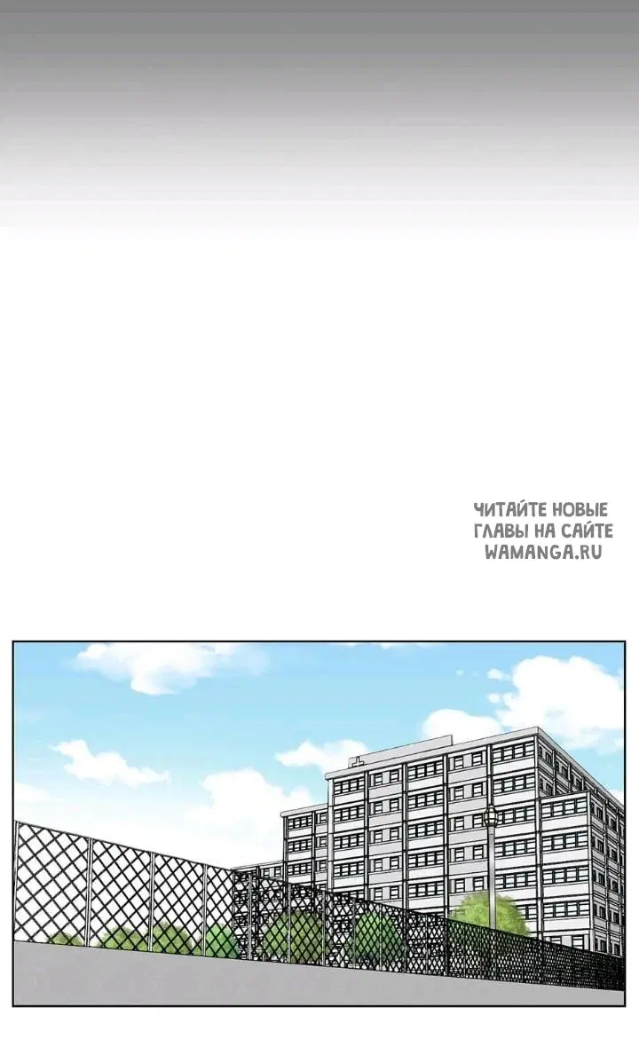 Page 50.000