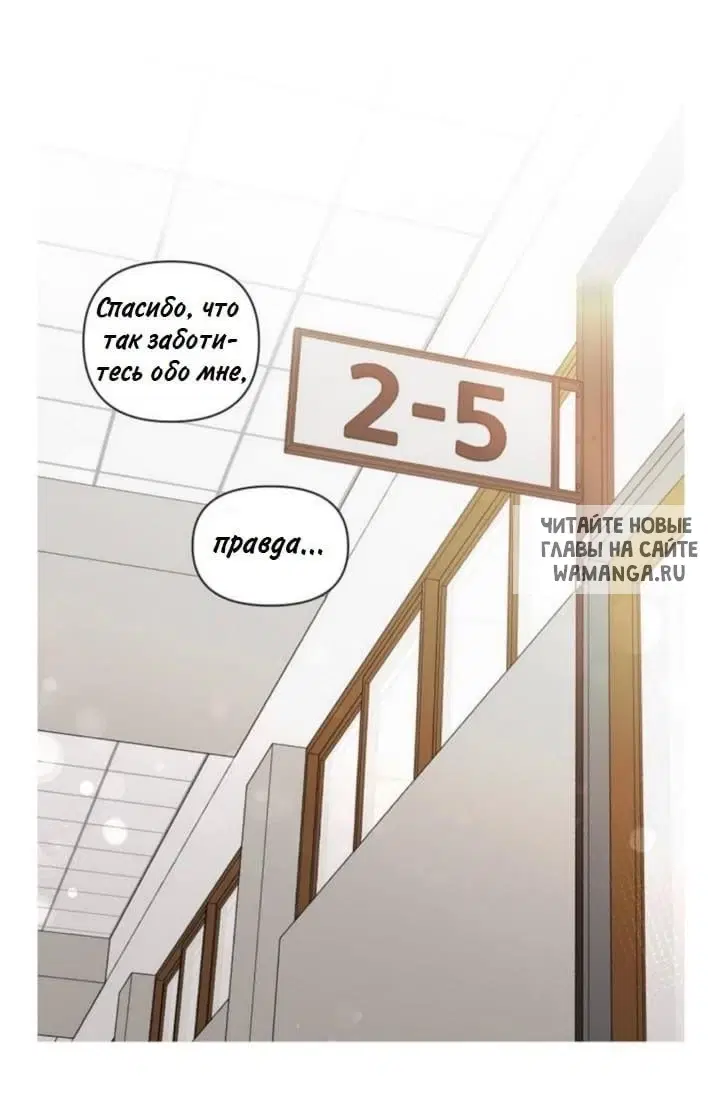 Page 51.000