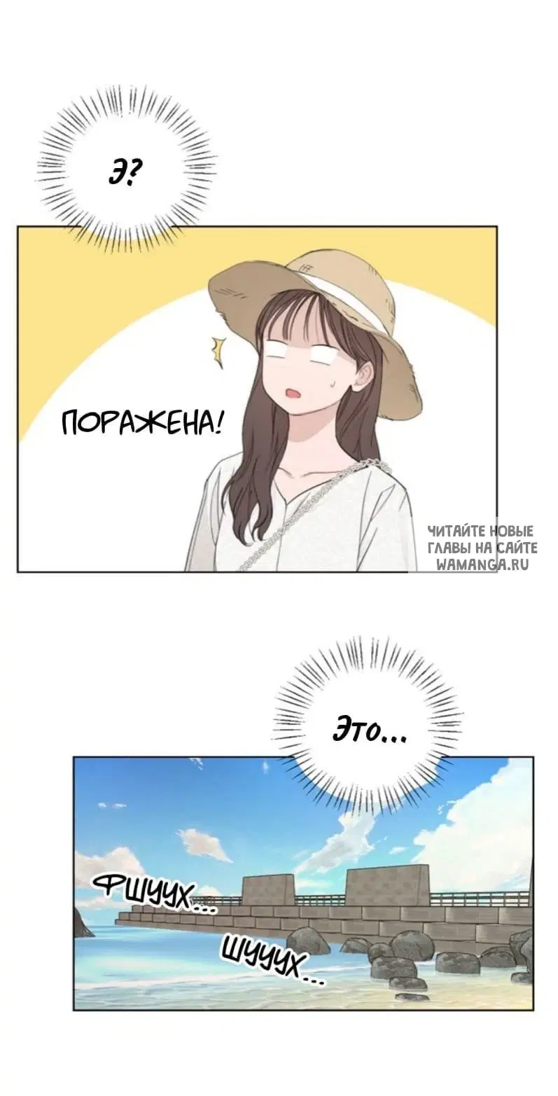 Page 51.000