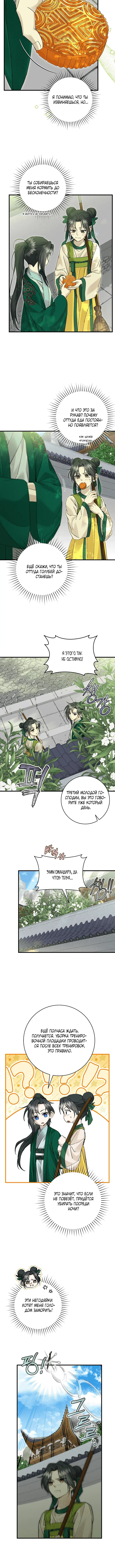 Page 5.001
