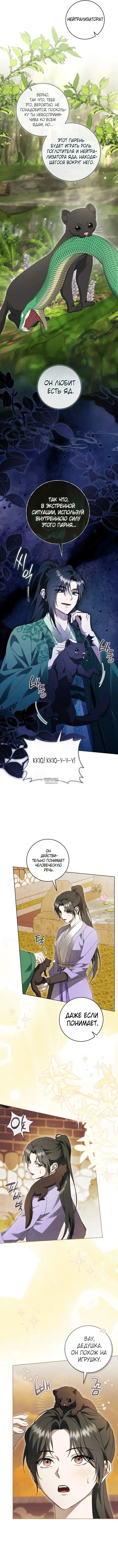 Page 5.000
