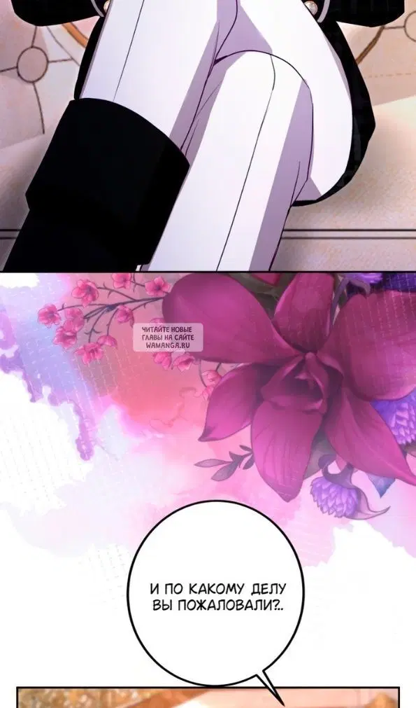 Page 41.000