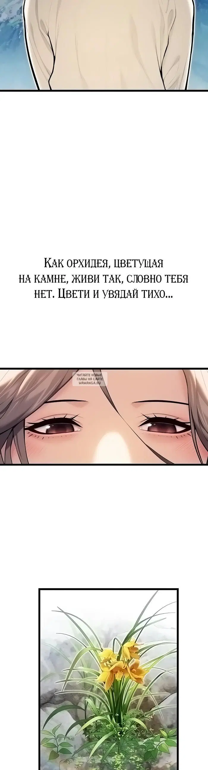 Page 28.000