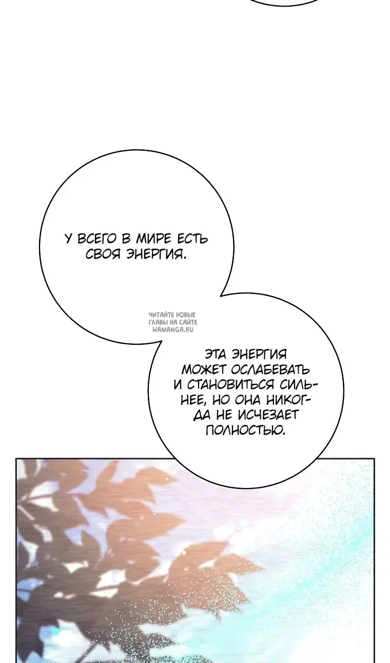 Page 51.000