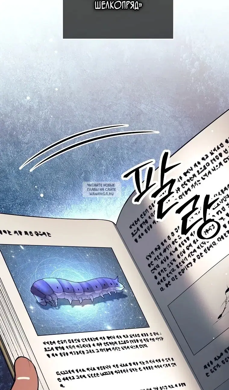 Page 53.000